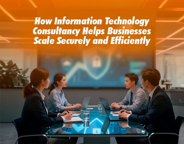 Information Technology Consultancy in Bahrain