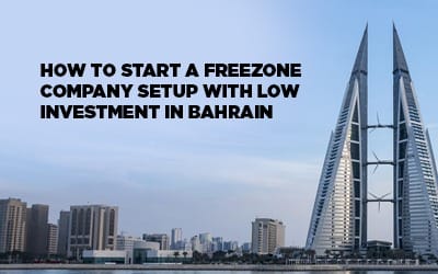 Freezone Company Setup